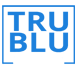 TruBlu Designs - Custom website design, development, and marketing.
